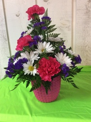 Daisy Delight from Kircher's Flowers in Defiance and Paulding, OH