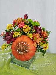Pumpkin Surprise from Kircher's Flowers in Defiance and Paulding, OH