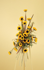 Standing Autumn Spray