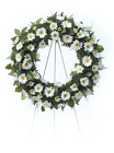 Daisy Wreath from Kircher's Flowers in Defiance and Paulding, OH