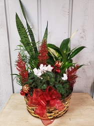 Christmas Planter from Kircher's Flowers in Defiance and Paulding, OH