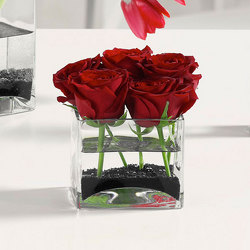 Roses in Glass Cube from Kircher's Flowers in Defiance and Paulding, OH