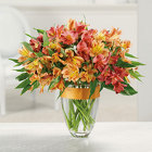 Awesome Alstromeria