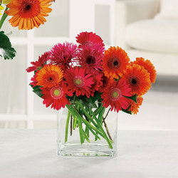 Charming Gerberas from Kircher's Flowers in Defiance and Paulding, OH