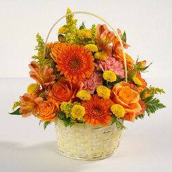 Sunshine Surprise from Kircher's Flowers in Defiance and Paulding, OH