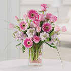 Beautiful Garden Flowers