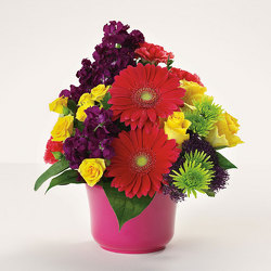 Bowl of Bright Wishes from Kircher's Flowers in Defiance and Paulding, OH