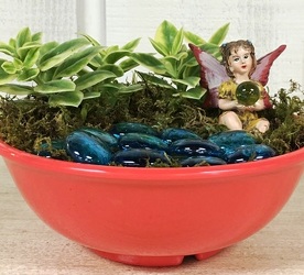 Fairy Garden from Kircher's Flowers in Defiance and Paulding, OH