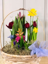 Beautiful Spring Garden from Kircher's Flowers in Defiance and Paulding, OH