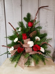 Joy to the World from Kircher's Flowers in Defiance and Paulding, OH