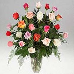 Two Dozen Mixed Roses from Kircher's Flowers in Defiance and Paulding, OH
