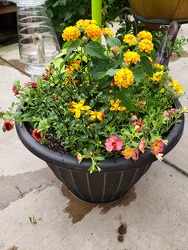 Large Combination Pot  from Kircher's Flowers in Defiance and Paulding, OH