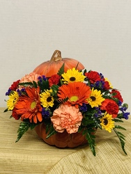 Pumpkin Fun from Kircher's Flowers in Defiance and Paulding, OH