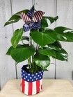 Patriotic from Kircher's Flowers in Defiance and Paulding, OH