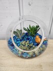 Small Succulent Terrarium from Kircher's Flowers in Defiance and Paulding, OH