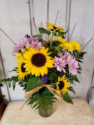Sunshine Daisy from Kircher's Flowers in Defiance and Paulding, OH