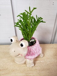 Tina The Turtle Planter from Kircher's Flowers in Defiance and Paulding, OH