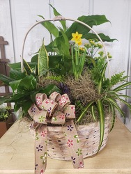 Touch of Spring Planter  from Kircher's Flowers in Defiance and Paulding, OH