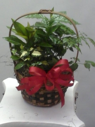 Small Planter from Kircher's Flowers in Defiance and Paulding, OH