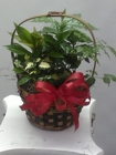 Small Planter