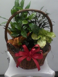 Medium Planter