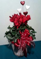 Basket of Love from Kircher's Flowers in Defiance and Paulding, OH
