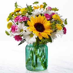 Sunlit Meadows from Kircher's Flowers in Defiance and Paulding, OH