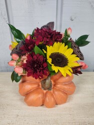 Autumn Light from Kircher's Flowers in Defiance and Paulding, OH