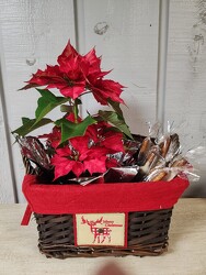 Basket of Cheer from Kircher's Flowers in Defiance and Paulding, OH