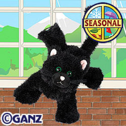 Webkinz Black Cat from Kircher's Flowers in Defiance and Paulding, OH