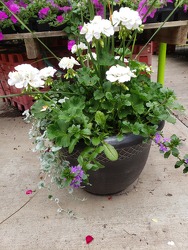 Decorative Combination Pot from Kircher's Flowers in Defiance and Paulding, OH