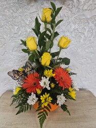 Butterfly Delight from Kircher's Flowers in Defiance and Paulding, OH