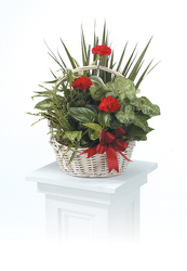 Basket planter with flowers from Kircher's Flowers in Defiance and Paulding, OH