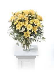 Yellow Lily and Daisy Vased Arrangement from Kircher's Flowers in Defiance and Paulding, OH