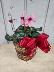 Visitor From Heaven from Kircher's Flowers in Defiance and Paulding, OH