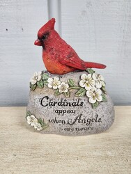 Cardinals Appear from Kircher's Flowers in Defiance and Paulding, OH