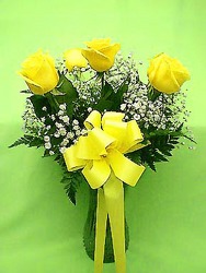 Classic Half-Dozen Roses from Kircher's Flowers in Defiance and Paulding, OH