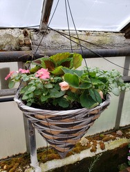 Cone Hanging Basket- Shade from Kircher's Flowers in Defiance and Paulding, OH