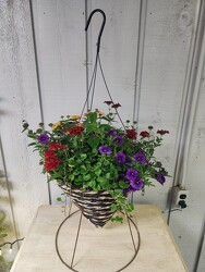 Cone Hanging Basket- Sun from Kircher's Flowers in Defiance and Paulding, OH