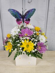 Daisy Sunshine from Kircher's Flowers in Defiance and Paulding, OH