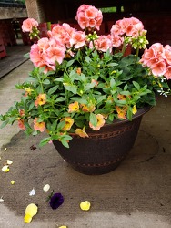 Decorative Combination Pot from Kircher's Flowers in Defiance and Paulding, OH