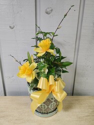 Delightful Daffodils from Kircher's Flowers in Defiance and Paulding, OH