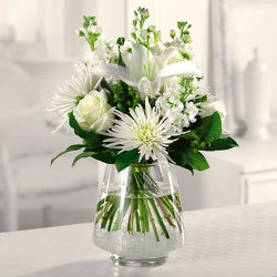 White Wonder from Kircher's Flowers in Defiance and Paulding, OH