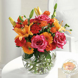 Bowl of Beauty from Kircher's Flowers in Defiance and Paulding, OH