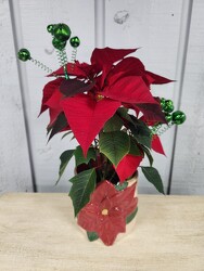 Elf-made Magic from Kircher's Flowers in Defiance and Paulding, OH