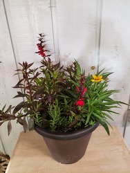 Fall Combination Pot from Kircher's Flowers in Defiance and Paulding, OH
