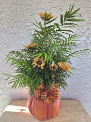 Fall Y'all from Kircher's Flowers in Defiance and Paulding, OH