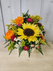 Field of Dreams from Kircher's Flowers in Defiance and Paulding, OH
