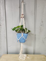 Hanging Planter from Kircher's Flowers in Defiance and Paulding, OH