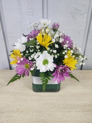 Happy Daisies from Kircher's Flowers in Defiance and Paulding, OH